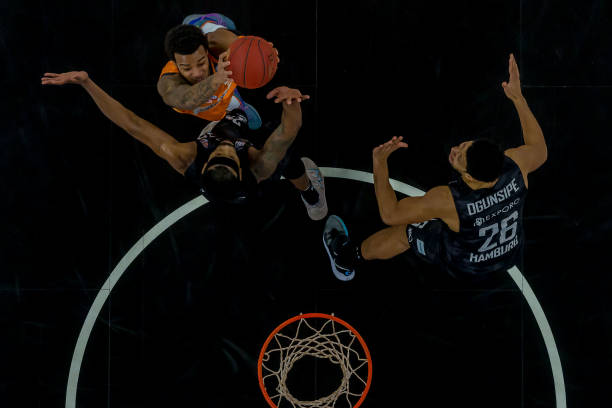 这种顽强的 这种顽强的